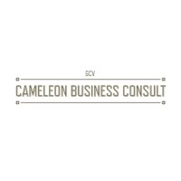 Cameleon Business Consult logo - Similar company to Activate Fundraising