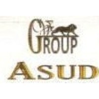 ASUD Electromechanical Contraction logo - Similar company to Clg Technical Services