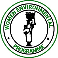 Women Environmental Programme logo - Similar company to Arcbyte Digital Ltd