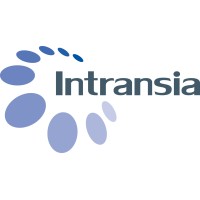 INTRANSIA logo - Similar company to Reon Technology Ltd.