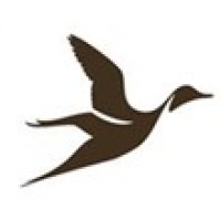 Pintail Strategic Advisors logo - Similar company to Atom & Bits