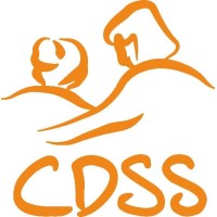 CDSS - R logo - Similar company to Akopso