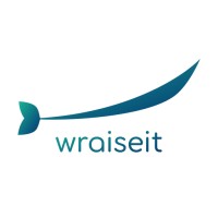 WraiseIT logo - Similar company to Shirak State University