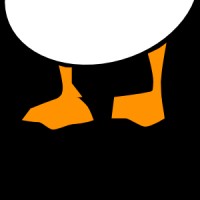 Pato Blanco
