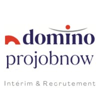 Domino Projobnow logo - Similar company to Sopres Intérim