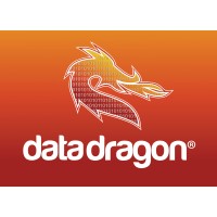 DataDragon logo - Similar company to Dragonfly Data Factory