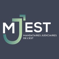 MJ EST logo - Similar company to Work Different