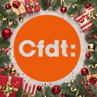 CFDT Crédit Agricole Centre France logo - Similar company to Cfdt Branche Credit Agricole