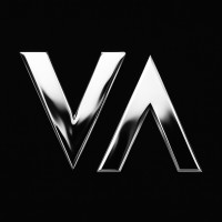 Vostola logo - Similar company to Evergreen Visions