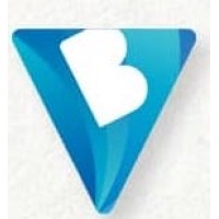 BVictorious Management Consultancy logo - Similar company to O-Exe Ocean