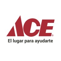 Ace México logo - Similar company to Bildtotal