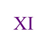 XI Technology logo - Similar company to Xitekno