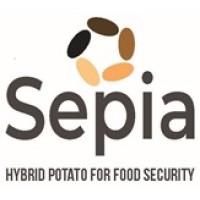 Sepia Foundation logo - Similar company to National Root Crops Research Institute (Nrcri) Umudike, Nigeria