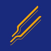 Viapazon logo - Similar company to Calysoft