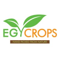Egycrops US logo - Similar company to Egyplanta