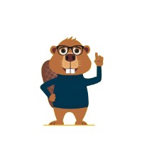 Beaver Broadband logo - Similar company to Beaver Networks