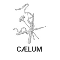 Caelum Innovations, LLC logo - Similar company to Caelum Search Group, Inc.
