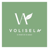 Volisela logo - Similar company to Electrical Circuit Laboratory