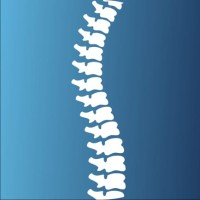 NeuSpine logo - Similar company to Talsyn