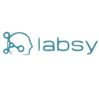 Labsy logo - Similar company to Codemasters Solutions