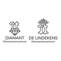 DAC Diamant logo - Similar company to Vet&Go