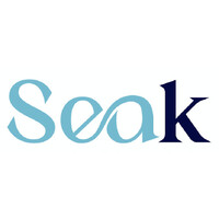 Seak logo - Similar company to Artizen