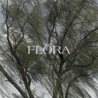 FLÖRA logo - Similar company to Av & Telefoni