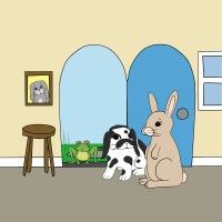 Poppy And Ziggy Books
