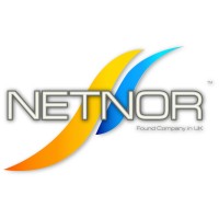 Netnor Ltd logo - Similar company to Consultist