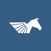 Pegasus Trucking logo - Similar company to Provalue.Net