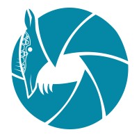 Tecno Armadillo TV logo - Similar company to Gryphos Solutions C.A.