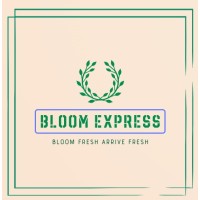 Bloom Express logo - Similar company to Bloom Express
