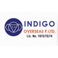 Indigo Overseas Nepal logo - Similar company to Prudential Overseas Pvt. Ltd.