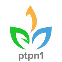 PT. Perkebunan Nusantara I Regional 2 (Ex-PTPN VIII) logo - Similar company to Pt. Sinergi Gula Nusantara (Sgn)