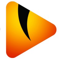 VideoMonster logo - Similar company to Spotsolutions