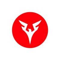 Falcon Car Detailing Studio logo - Similar company to Detailing Wolves