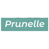 Prunelle, un podast qui aborde le sujet du handicap visuel et de l'inclusion logo - Similar company to Institut De Brainworking