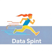 Data Sprint logo - Similar company to Innovative.Solutions Inc