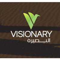 Visionary Limited logo - Similar company to Infosoft Ni