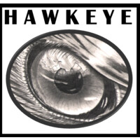 Hawkeye Music Group logo - Similar company to One77 Music