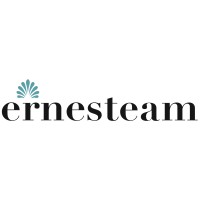 Ernesteam logo - Similar company to Ernestor