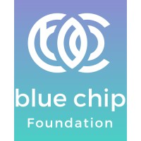 Blue Chip Foundation logo - Similar company to Media For Change