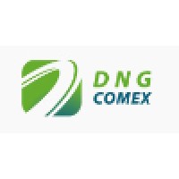DNG COMEX logo - Similar company to Comex Up - Consultoria