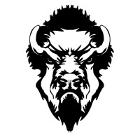 Bison Paddles logo - Similar company to Bison Designs