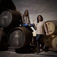 Bodegas Sauci logo - Similar company to Bodegas Cano
