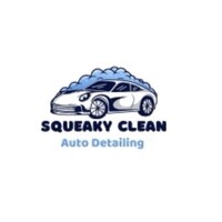 SqueakyClean Auto Detailing logo - Similar company to Wolf Trap Garage