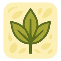 Excelsior-Food Provisions LLP logo - Similar company to Nova Transfers Pvt. Ltd