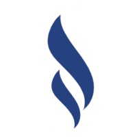Vista Analytics LLP logo - Similar company to Stellar Analytics Llp