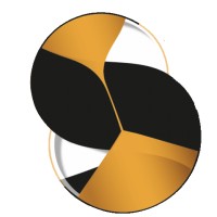 Miroiterie Singulière logo - Similar company to Infiniglass