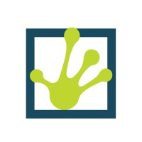 Left-Handed Frog logo - Similar company to Maplestory